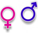 gender-symbols-1069414-m