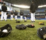 jays_turf_640