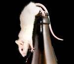 MOUSE_2746515b