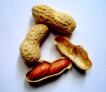 534px-Arachis-hypogaea-(peanuts)