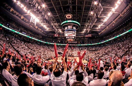 Raptors