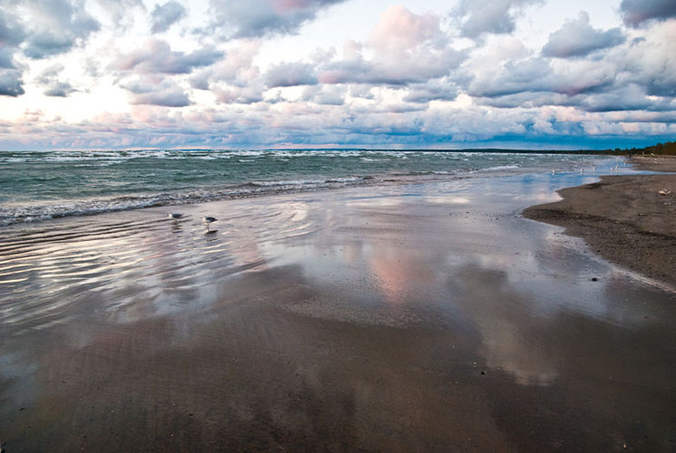 wasaga