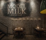 18. Model Milk