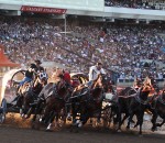 Calgary Stampede 2