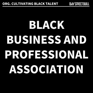 Black Business and Professional Association