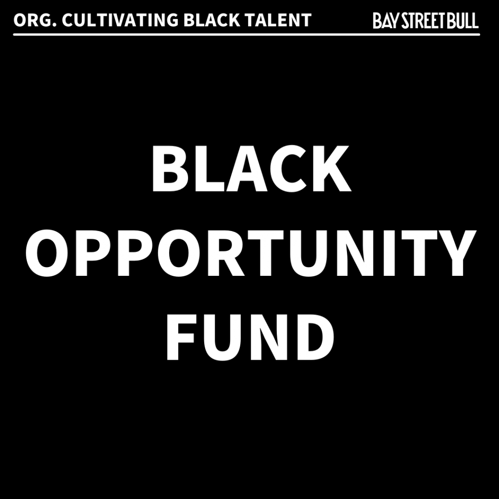 Black Opportunity Fund