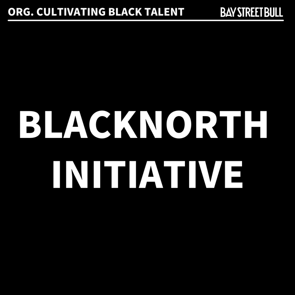 BlackNorth Initiative