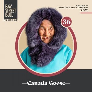 Canada Goose